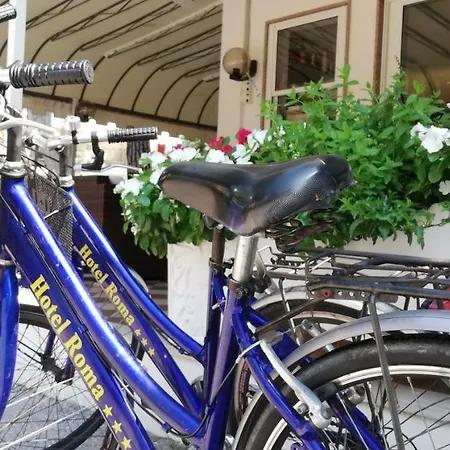 Roma Hotel 3*